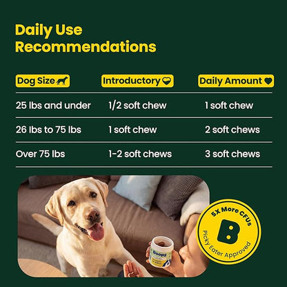 Probiotics for Dogs – 30 Billion CFU with Pre, Postbiotics & Digestive Enzymes – Supports Gut Health, Immunity, Loose Stools & Allergies – Filet Mignon Flavor – Vet Formulated – 60 Chews