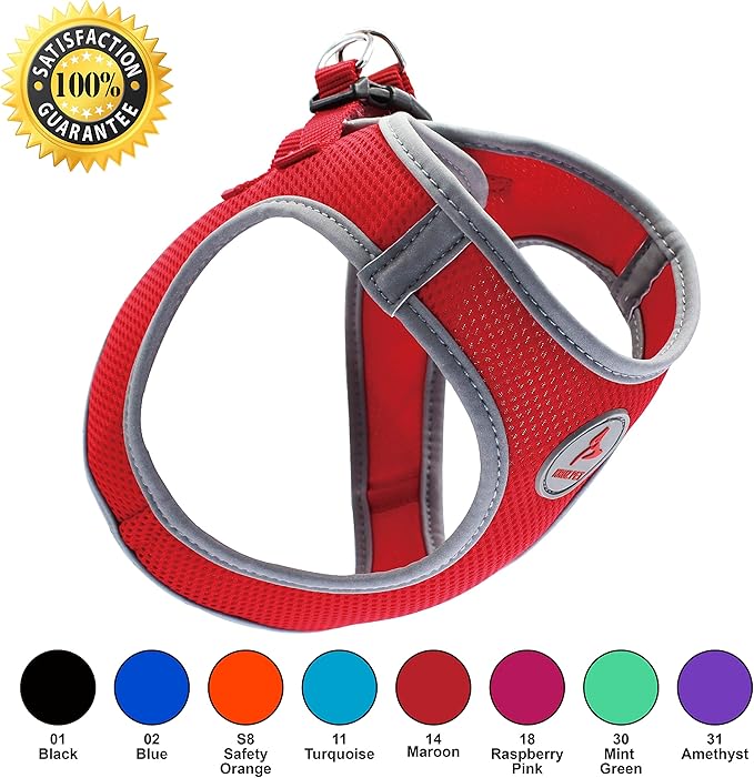 Kruz Dog Harness (Chest 16"-17", Weight 10–15 lbs) Athletica Adjustable Heavy Duty No Choke Puppy Vest for Small Dogs Lightweight Air Mesh, Reflective, Puppy Essentials – Orange, Medium