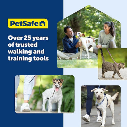 PetSafe Easy Walk Harness for Dogs - Pull-Free Walks - Patented Martingale Loop Design - Front Chest Leash Attachment - Comfort Straps - Breathable Harness Design - Small/Medium, Fawn/Brown