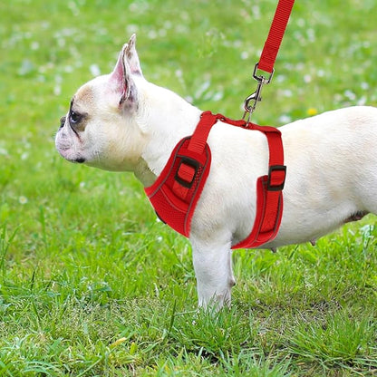 PUPTECK Small Dog Harness and Leash Set, No Pull Adjustable Puppy Cat Harness, Reflective Soft Mesh Pet Vest Small Sized, Red, XS