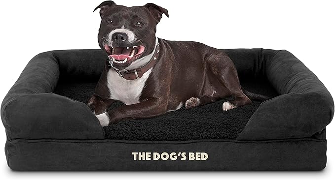 The Dog’s Bed Orthopedic Memory Foam Dog Bed with Bolsters for Medium Dogs, Waterproof Washable Cover, Anti-Slip Base, Calming Surface – CertiPUR-Certified Foam, Plush Fabric, Black Plush, Medium