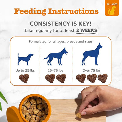 Zesty Paws Multi Collagen Soft Chews for Dogs - for Hip, Joint & Cartilage Support + Skin Health - with Collagen - Plus Eggshell Membrane, Vitamin C & Hyaluronic Acid - 90 Count
