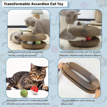 Magic Organ Cat Scratch Toy Kitty Kurlz Cat Toys with Bell and Catnip Balls Cat Puzzle Toy Foldable and Changeable Shape Cat Toy Accordion Ultimate Interactive Kitten Toys for Indoor Cats