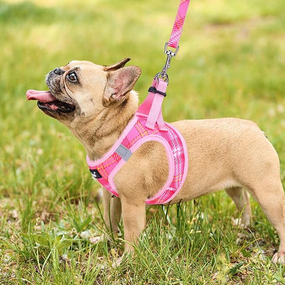 PUPTECK Dog Harness and Leash Set for Small Medium Dogs No Pull Step-in Soft Mesh Puppy Cat Vest Harnesses Reflective at Night, Plaid Pattern Pink S
