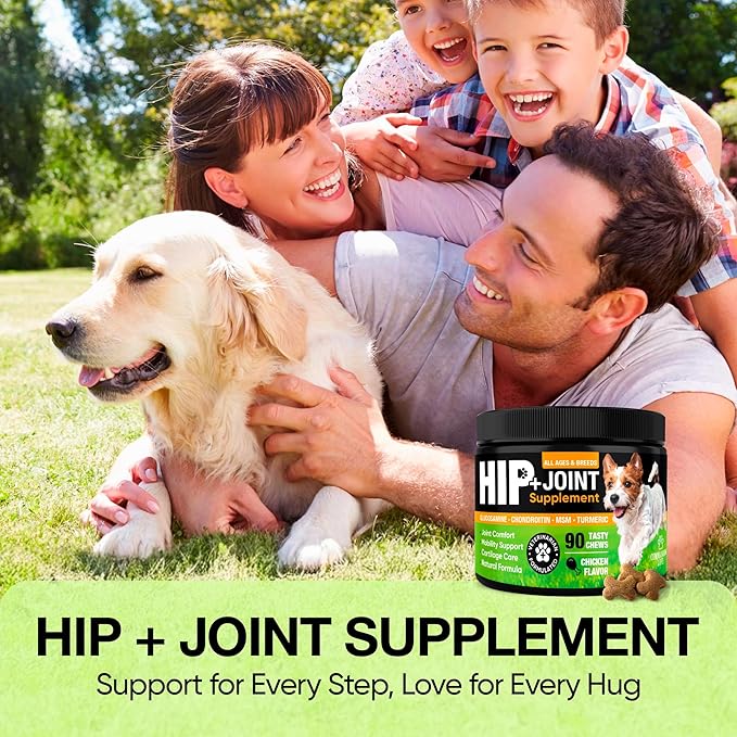 Glucosamine for Dogs – Hip and Joint Supplement Chews for Small, Medium & Large Dogs – Joint Pain & Mobility Support – Soft Chews for Pain and Inflammation Relief