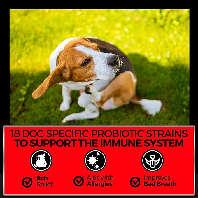 Pet Chef Dog Allergy Chews 140 Soft Chews with Salmon Oil, Omega 3 & Probiotics Natural Supplement for Itch Relief, Immune Support & Healthy Skin & Coat (Peanut Butter)