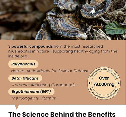 Pawpulse Formula Turkey Tail Mushroom for Dogs - Lipoma, Lumps & Bumps Defense - 7-in-1 Functional Immune Support with Reishi & Lion's Mane - Brain, Vitality, Gut Health & Longevity - 80 Soft Chews