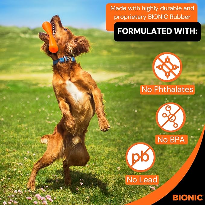 BIONIC Urban Stick Dog Toy, Small - Interactive Dog Chew Toy That Stands Up to The Toughest Chewers, for Dogs up to 20 lbs. (9 kg)