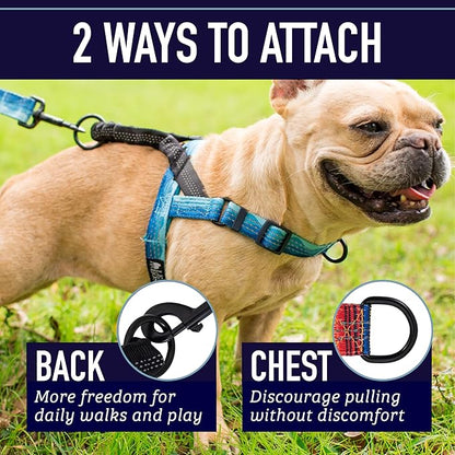 Leash Boss No Pull Dog Harness, Easy Walk for Small, Medium, and Large Pets, Reflective with Rear and Front Clip Attachment (Wave Pattern, Medium)