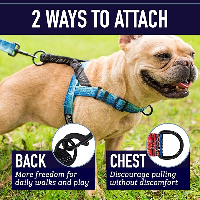 Leash Boss No Pull Dog Harness, Easy Walk for Small, Medium, and Large Pets, Reflective with Rear and Front Clip Attachment (Blanket Pattern, Medium)