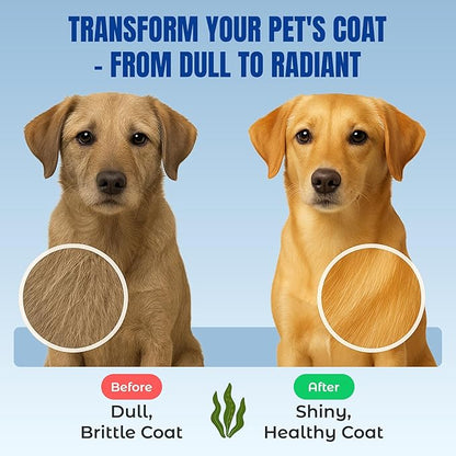 Life Line Organic Ocean Canister Kelp for Cats, Dogs, Livestock, and Horses | Supports Skin, Coat & Immune Health – Reduces Tartar, Plaque & Shedding – Increases Metabolism and aids Digestion -10 lb
