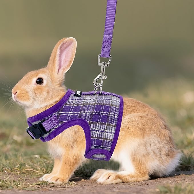 AIITLE Bunny Harness and Leash Set Escape Proof - Magic Tape Design, Lightweight Plaid Pattern Mesh Padding, No Choke No Pull for Puppy Cat Rat Squirrel Ferret, Outdoor Walking Running, Purple S