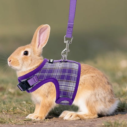 AIITLE Bunny Harness and Leash Set Escape Proof - Magic Tape Design, Lightweight Plaid Pattern Mesh Padding, No Choke No Pull for Puppy Cat Rat Squirrel Ferret, Outdoor Walking Running, Purple S