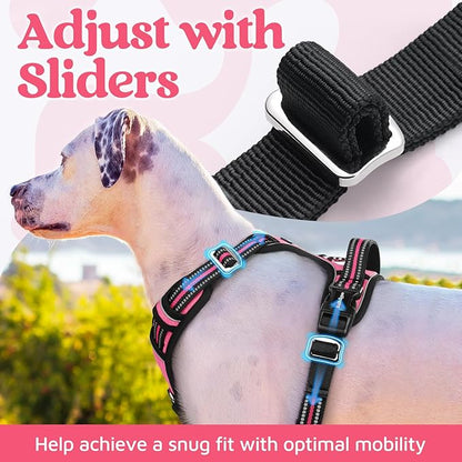 rabbitgoo Dog Harness Small Sized, No Pull Dog Vest with 3 Buckles, Adjustable Soft Padded Pet Harness with Easy Control Handle and Reflective Strips, Pink, S
