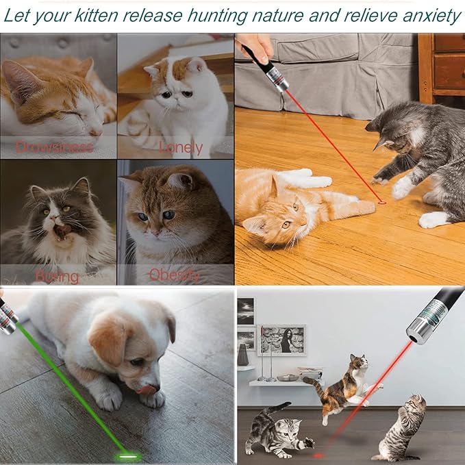MEUSNO 3 Pack Cat Laser Pointer Toy, Red Green Cat Laser Pointer for Cats Dogs Indoor Chaser Cats Dog Pet Laser Toy Laser Light Pointer, Small Laser Pet Toy Geese Deterrent