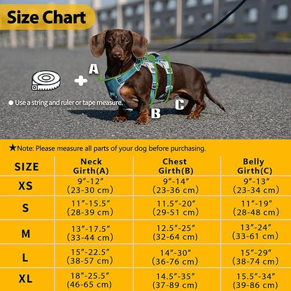 Huntboo Escape Proof Dog Harness, No Pull Reflective Harness with Lift Handle, Adjustable Pet Vest with Front and Back Leash Clips for Small Medium Large Dogs Walking Hiking Training (Teal,L)