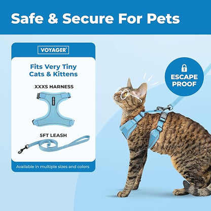 Voyager Escape-Proof Step-in Lock Cat Harness & 5ft Neoprene-Handle Leash Set All-Weather Mesh with Reflective Stitching for Small to Large Cats by Best Pet Supplies, Baby Blue (327), XXXS
