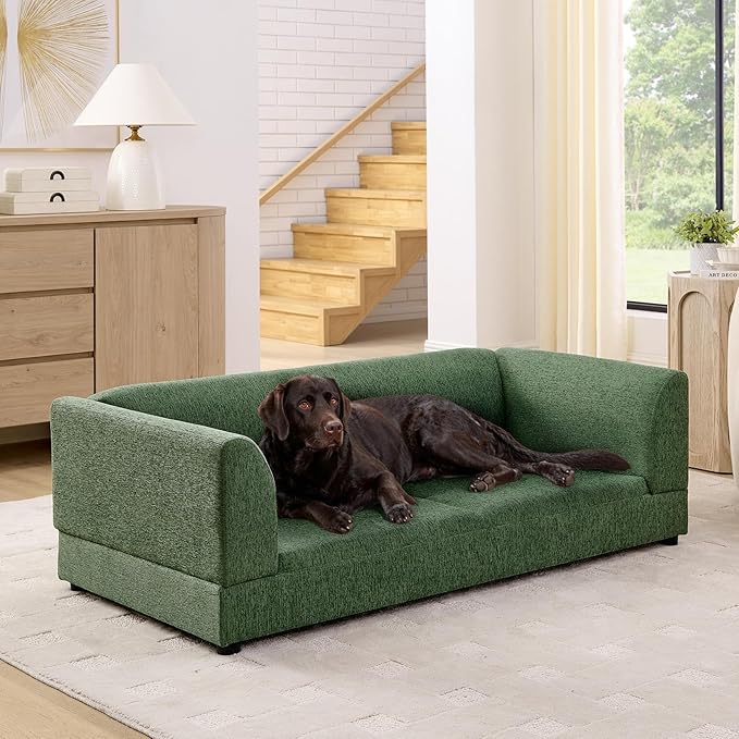 56.5" Dog Sofa Couch for Medium and Large Dogs with Backrest and Armrest, Memory Foam Dog Sofa Bed, Modern Elevated Pet Couch Bed with Legs for Dogs, Green