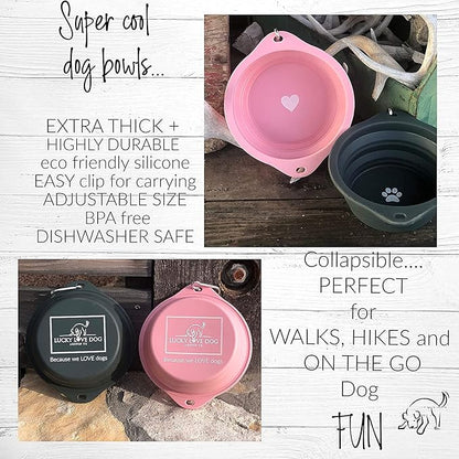 Lucky Love Dog Travel Bowl, Collapsible Compact Water Dog Dish (Grass)