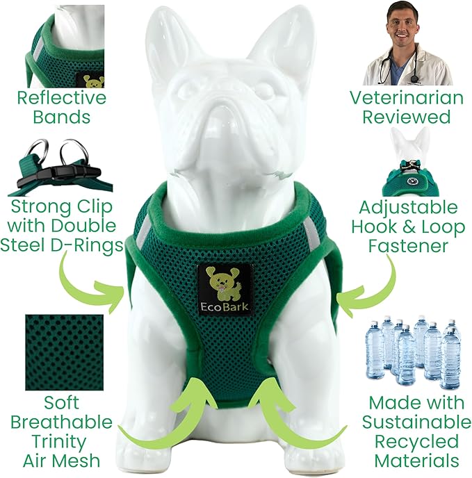 EcoBark Step in Dog Harness - Reflective Soft Luxurious Mesh Dog Harnesses for XXS, XS, Small, and Medium Dogs - Eco-Friendly Comfort Secure Halter No Pull Adjustable Pet Vest (Forest Green, Medium)