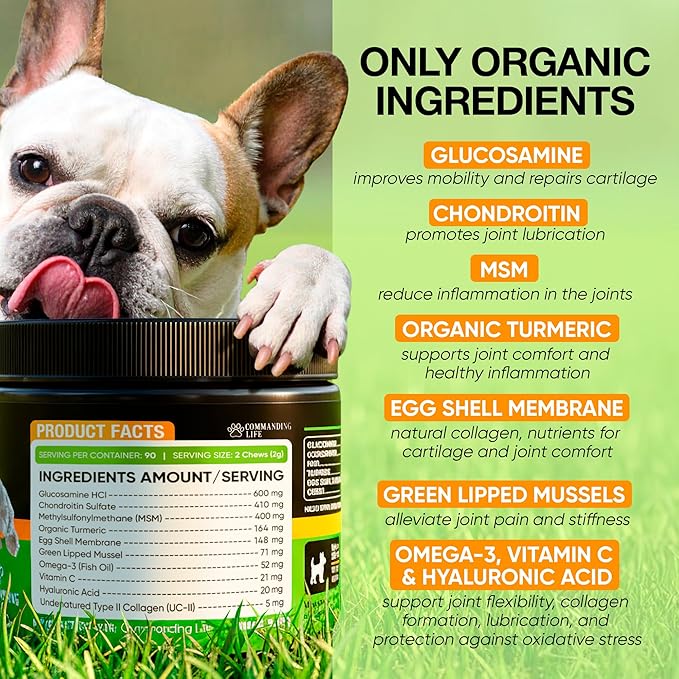 Glucosamine for Dogs – Hip and Joint Supplement Chews for Small, Medium & Large Dogs – Joint Pain & Mobility Support – Soft Chews for Pain and Inflammation Relief