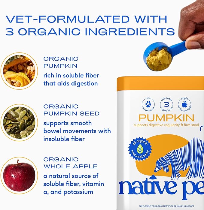 Native Pet Pumpkin for Dogs - Organic Dog Food Topper Powder - Promotes Firm Stools, Supports Digestive, Bowel Health & Nutrient Absorption - USDA Organic, Rich in Fiber with Real Pumpkin - 60 Scoops