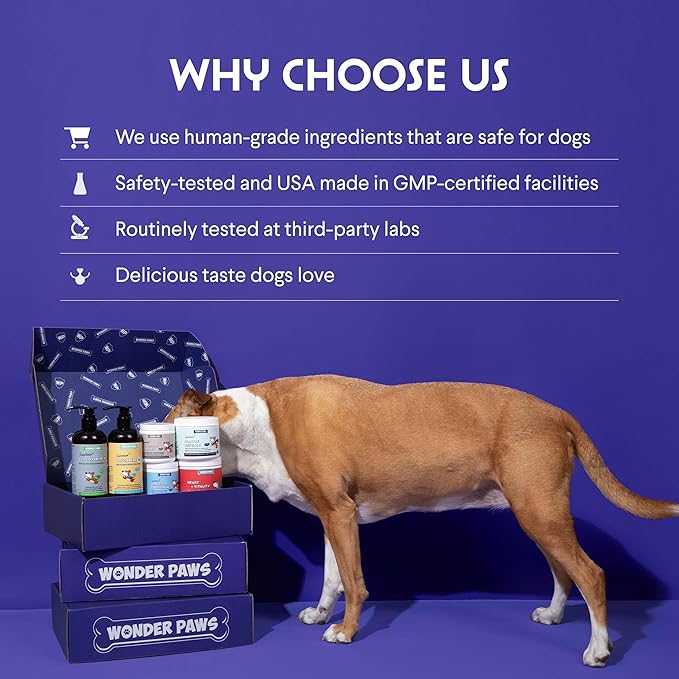 Wonder Paws Skin & Coat Supplement for Dogs with Salmon Oil, Omega 3 & 6, EPA & DHA, Promotes Healthy Skin and Coat, Itchy Relief, Joint and Overall Health, Delicious Flavor, 70 skin & coat Soft Chews