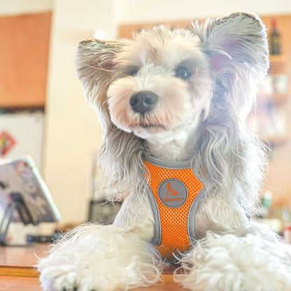 Kruz Dog Harness (Chest 13.5"-14.5", Weight 4–6 lbs) Athletica Adjustable Heavy Duty No Choke Puppy Vest for Small Dogs Lightweight Air Mesh, Reflective, Puppy Essentials – Orange, X-Small
