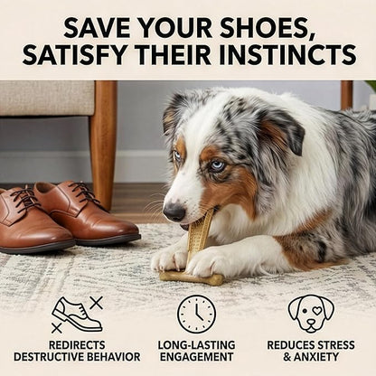 SPOT Bam-Bones Plus Coffee Wood T-Bone Dog Chew Toy, Chicken Flavor, Nylon and Coffee Wood Fiber Blend, Durable Chew for Heavy Chewers and Dogs Under 60 lbs, Non-Splintering Dental Chew, 6 Inch