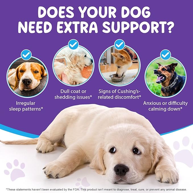 Melatonin for Dogs, Sleep Aid Drops Supports Dog Sleep, Dog Anxiety Relief, Calming Dogs & Regulates Sleep Patterns - Pet Supplies Supplement Liquid Vitamins, Bacon Flavour - 2 Fl Oz / 60ml