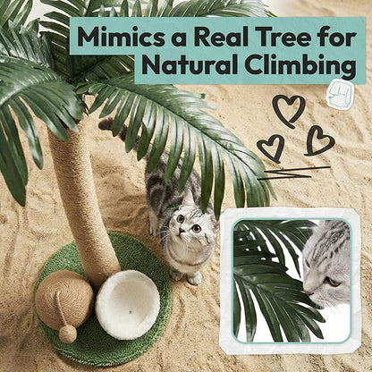 33" Tall Cat Scratching Post, Natural Jute Cat Scratcher for Indoor Cats,Twin Coconuts & Tree Design with Hanging Toy Ball & Rest Platform,Stable Furniture Protector for Kittens & Adult Cats,M