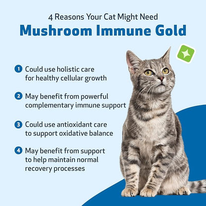 Pet Wellbeing Mushroom Immune Gold for Cats - Complementary Immune Support with Functional Mushrooms Reishi, Maitake & Turkey Tail - NASC Certified & Vet-Formulated - 8 oz Liquid Formula