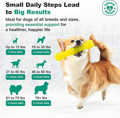 Doggie Dailies Probiotics for Dogs - Advanced Dog Probiotics with Prebiotics - Promotes Digestive Health - Supports Immune System and Overall Health (Duck) 225 Soft Chews
