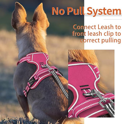 HEELE Dog Harness for Small Dogs No Pull Dog Vest Harness for Small Dog with Soft Padded Handle Reflective for Outdoor Training, Rose(Matching Trim), S
