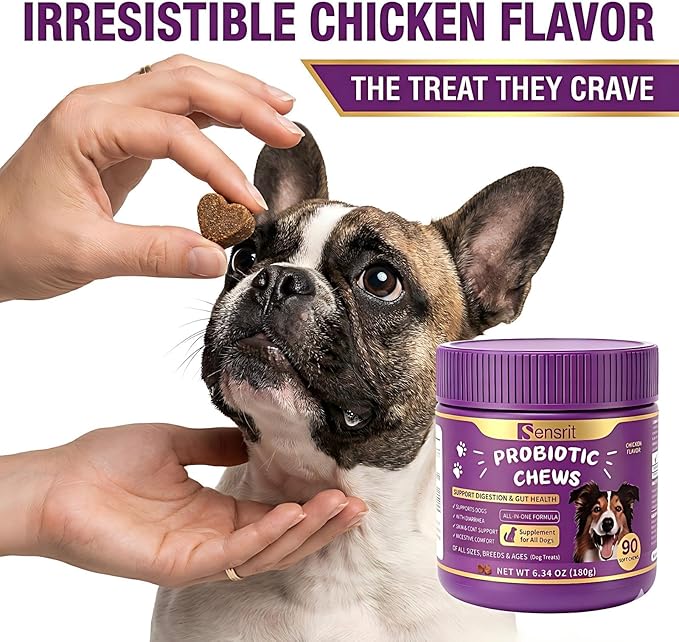 Probiotics for Dogs - 800M CFU Dog Probiotic Chews with Digestive Enzymes & Pumpkin | Seasonal Allergy, Itchy Skin & Immune Support for All Breeds - 90 Soft Chews, Chicken Flavor
