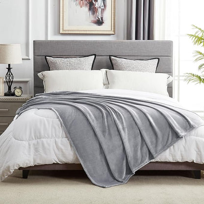 DREAMNINE Oversized Soft Plush Fleece Throw Blanket Twin Size 60" x 80", Decorative Large Solid Lightweight Fluffy Velvet Bed Blanket, Big Cute Cozy Accent Gray Fuzzy Flannel Blanket for Bedroom, Grey
