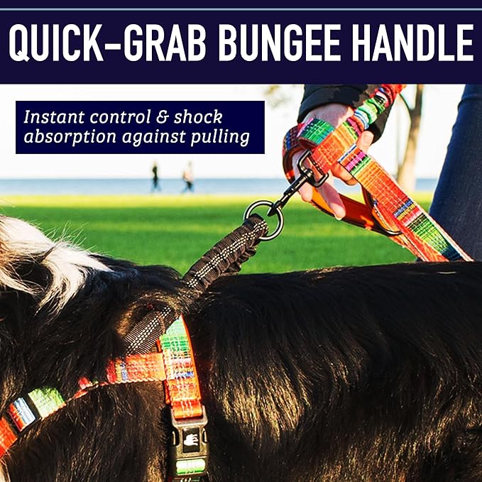 Leash Boss No Pull Dog Harness, Easy Walk for Small, Medium, and Large Pets, Reflective with Rear and Front Clip Attachment (Blanket Pattern, Medium)