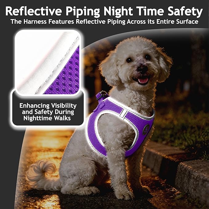Kruz Dog Harness (Chest 13.5"-14", Weight 4–6 lbs) Athletica Adjustable Heavy Duty No Choke Puppy Vest for Small Dogs Lightweight Air Mesh, Reflective, Puppy Essentials – Amethyst, X-Small