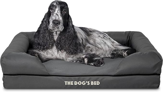 The Dog’s Bed Orthopedic Memory Foam Dog Bed with Bolsters for Medium Dogs, High Density Support Mattress, Low Front Entry, Removable Washable Cover, Oxford Fabric, Grey with Black Trim, Medium