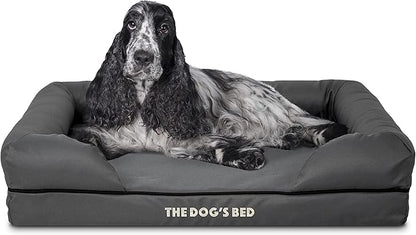 The Dog’s Bed Orthopedic Memory Foam Dog Bed with Bolsters for Medium Dogs, High Density Support Mattress, Low Front Entry, Removable Washable Cover, Oxford Fabric, Grey with Black Trim, Medium