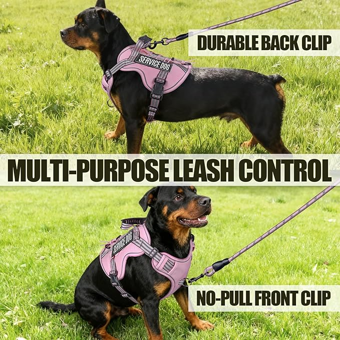 Service Dog Tactical Vest Harness and Leash Set Medium Sized Dog Emotional Support- Tactical Dog Harness Training Collar with Name (Pink, S)