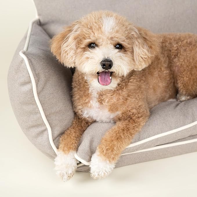 Harry Barker Couch Lounger Bed