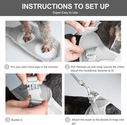 Fida Comfy Dog Harness with Leash, Soft Puppy Vest Escape Proof, Breathable Lightweight Soft Mesh, Adjustable Reflective Step-in Harness for Small Pets Walking (Small, Grey)