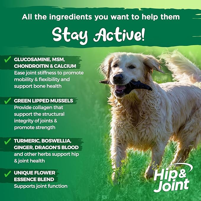 Vital Planet - Natural Hip and Joint Supplement for Dogs - Potent Herbal Blend with Green Lipped Mussel, MSM and Glucosamine Beef Flavor (60 Chewable Tabs)