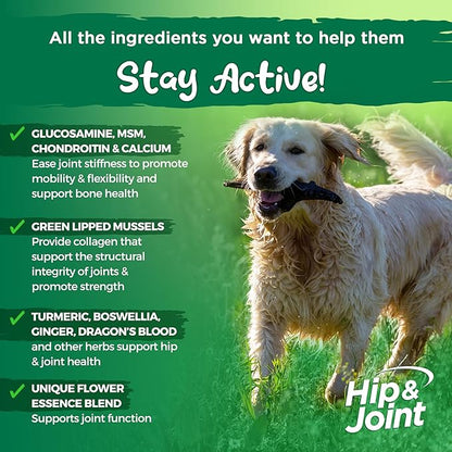Vital Planet - Natural Hip and Joint Supplement for Dogs - Potent Herbal Blend with Green Lipped Mussel, MSM and Glucosamine Beef Flavor (60 Chewable Tabs)