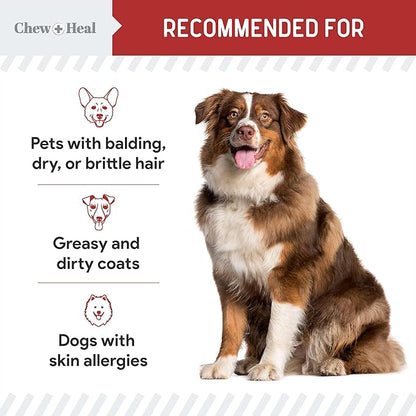 Best Itchy Skin Relief for Dogs -360 Soft Chew Omega Treats for Skin and Coat -Salmon Oil Blend of Fatty Acids, Omega 3, 6, Vitamins, Antioxidants -Made in USA (2 Packs of 180, Bacon Flavor)