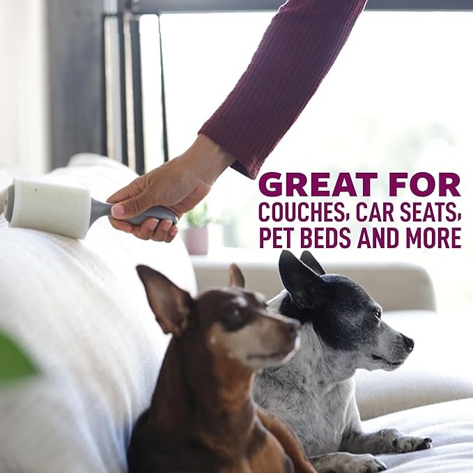 Scotch-Brite Pet Hair Pickup Extra Sticky Large Surface Lint Roller with Handle, 50% Stickier, 8 in x 29.8 ft Each, 2 Pack, 120 Easy-Tear Sheets Total