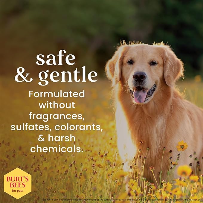 Burt's Bees for Pets Honey Multipurpose Dog Grooming Wipes, Gentle Hypoallergenic Spot Cleaning Sheets, pH Balanced Natural Origin Formula for Paws, Face and Butt, 50 Count - 2 Pack