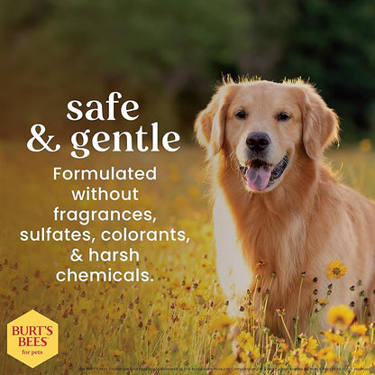 Burt's Bees for Pets Honey Multipurpose Dog Grooming Wipes, Gentle Hypoallergenic Spot Cleaning Sheets, pH Balanced Natural Origin Formula for Paws, Face and Butt, 50 Count - 2 Pack