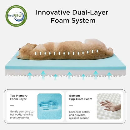 Bedsure Memory Foam Dog Bed Medium Size Dogs- Orthopedic Pet Beds for Crate with Removable Washable Cover and Nonskid Bottom - Plush Flannel Fleece Top Pet Mat, Grey
